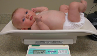 Medela Baby Weigh Scale Original ( 1 - Month ) Rental